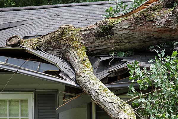 Roofing Gutters Siding Solutions
