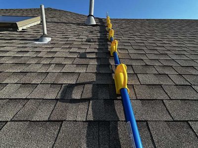 Shingle Roof Maintenance
